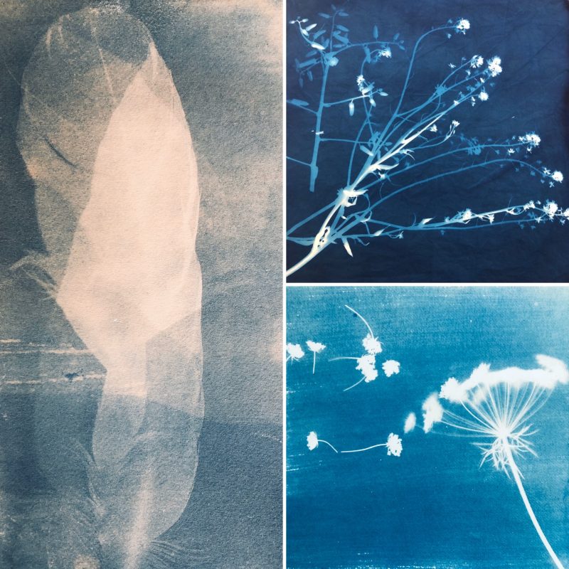 Sun Printing with Little Artists